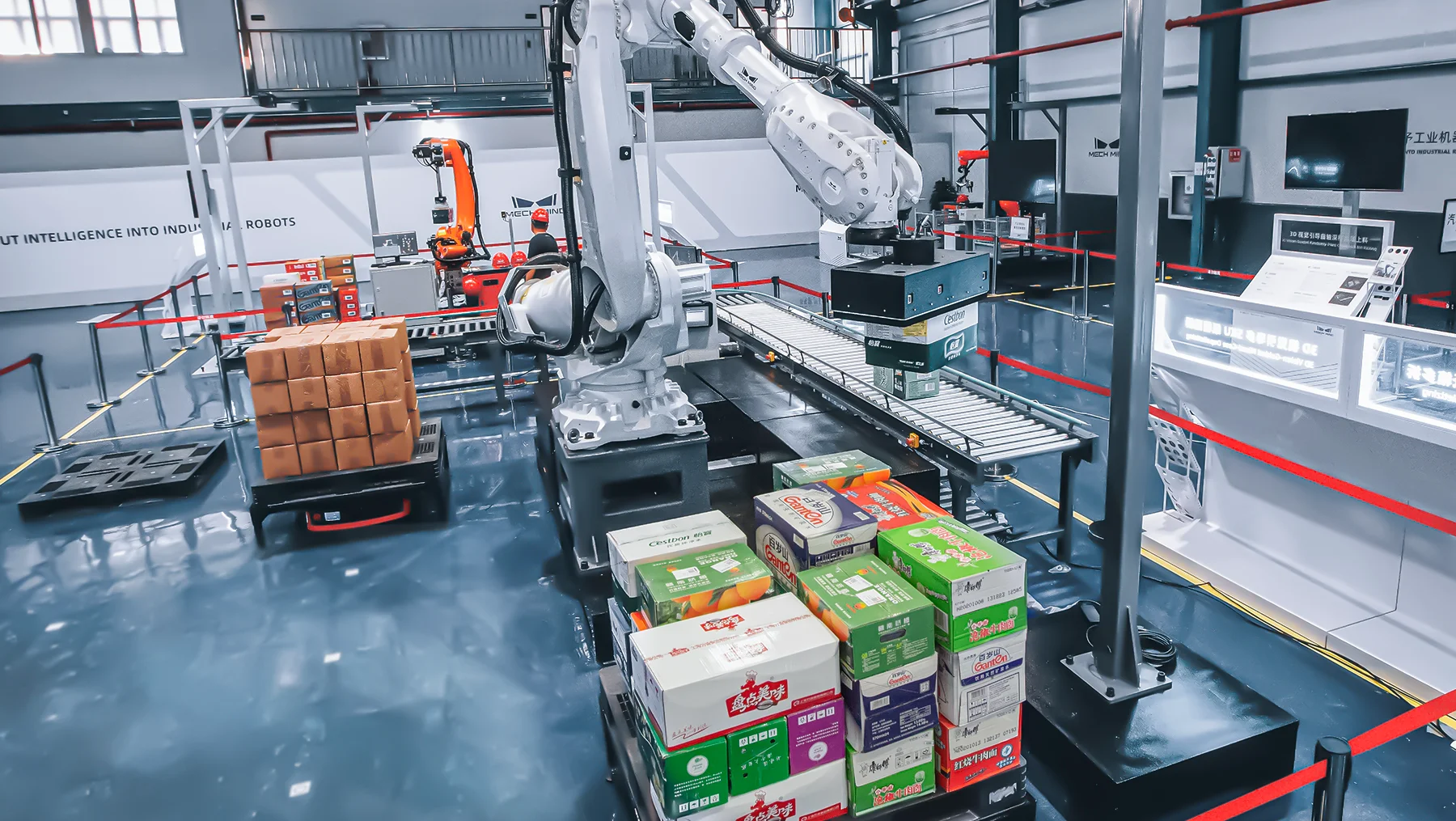 Mech-Mind 3D Vision System ile Robotik Otomasyonda Çevresel Algılamada Devrim