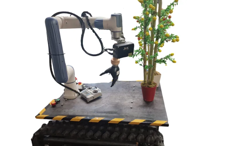 MIS-AGRO robotik hasat sistemi